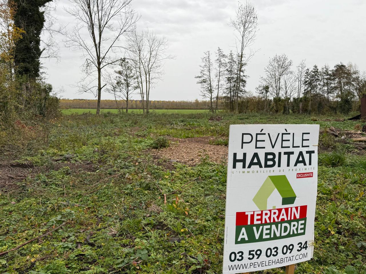 Terrain 2300m²